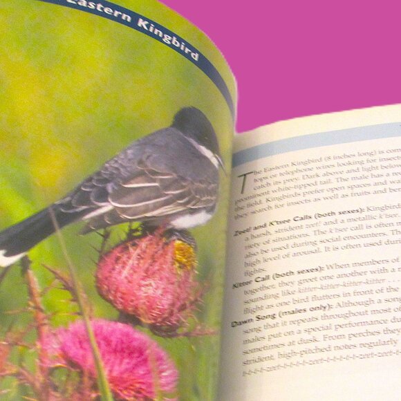 NWOT Know Your Bird Sounds Book Volume 2  Lang Elliott Audio CD Vol 2 - Picture 12 of 14